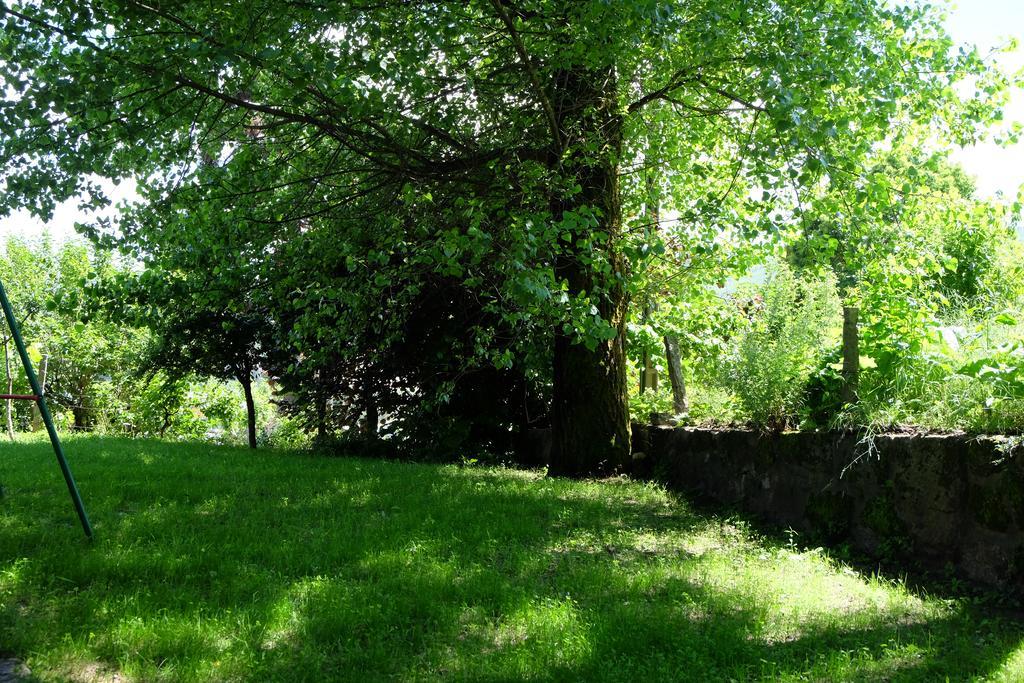 Alvores Do Tempo - Quinta De Turismo Rural Guest House Castro Daire Exterior photo