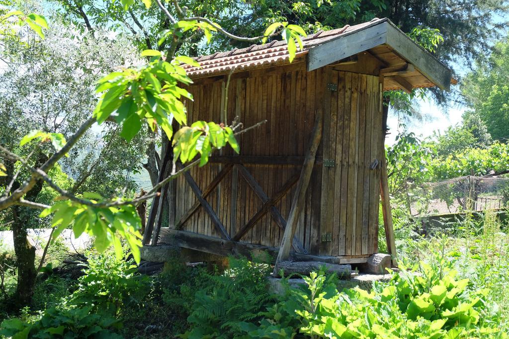 Alvores Do Tempo - Quinta De Turismo Rural Guest House Castro Daire Exterior photo