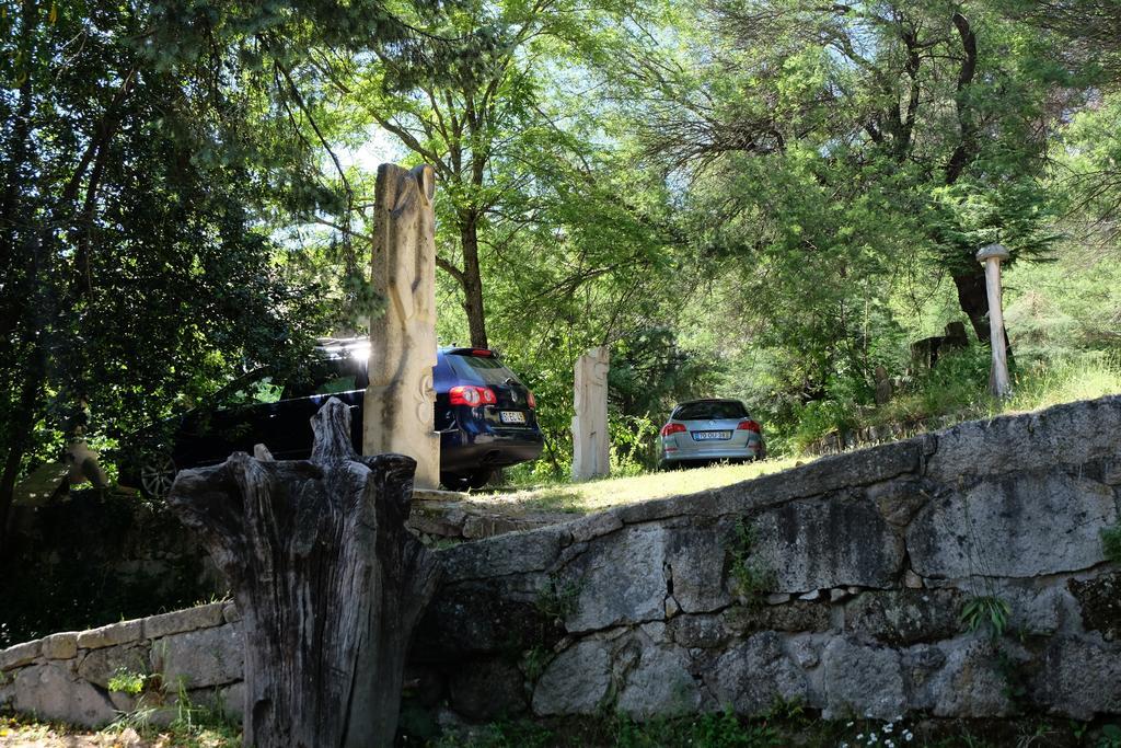 Alvores Do Tempo - Quinta De Turismo Rural Guest House Castro Daire Exterior photo