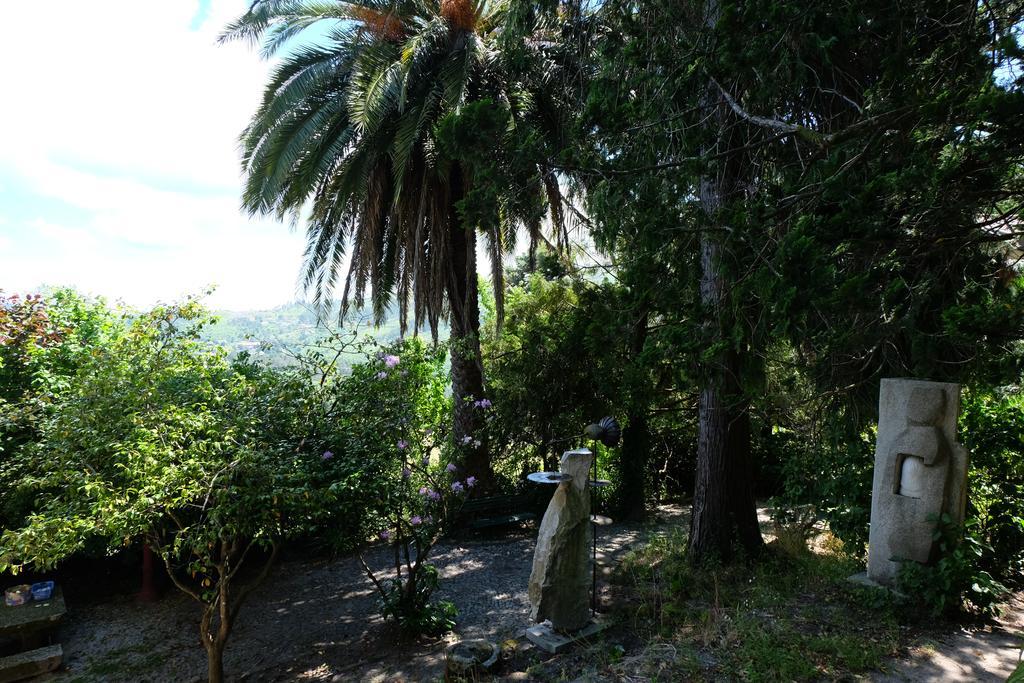 Alvores Do Tempo - Quinta De Turismo Rural Guest House Castro Daire Exterior photo