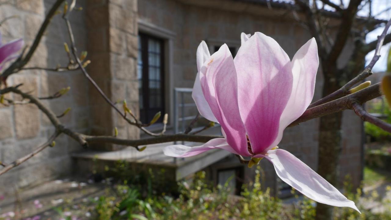 Alvores Do Tempo - Quinta De Turismo Rural Guest House Castro Daire Exterior photo